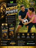 Horse Power